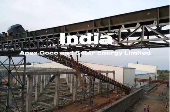 印度10TPH椰子加工生产线